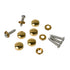 10PCS Brass Mirror Screws - 12mm Golden Cap Cover Nails Fasteners for Decorative Mirror, Sign Hardware