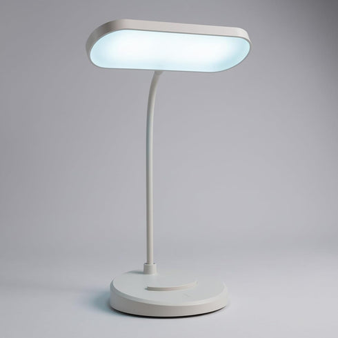 TUUWAI Desk Lamp, Eye-Caring LED for Students, Touch Dimmable, 3 Color Modes, USB-C