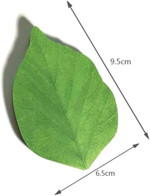 Leaf Sticky Note Pads, Anti-forgetting Reminder Note DIY Decoration, 50 Sheets/Pad, 8 Pads, 400 Pages Total