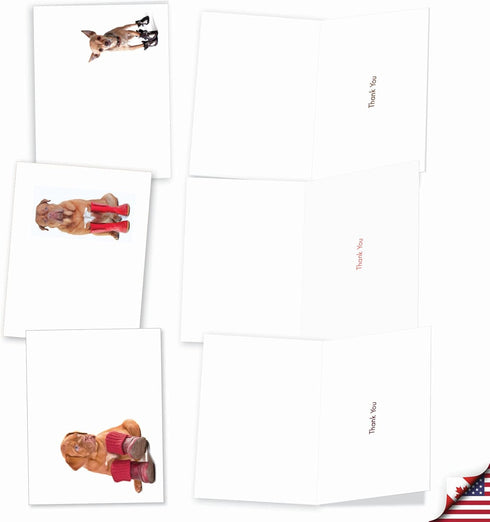 The Best Card Company 10 Assorted Dog Thank You Notes Box Set, 4 x 5.12 Inch with Envelopes (10 Designs, 1 Each)