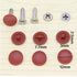 Screw Cap Covers, Decoration Tapping Cover, Plastic Screw Hole Pack of 500 (White)