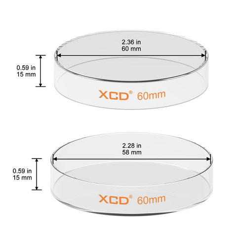 10 Pack Glass Petri Dishes, Borosilicate Glass Cell Culture Dishes with Clear Lid for Laboratory Use (60x15 mm)