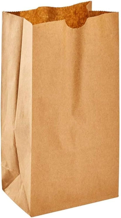 VPACK 500 Paper Lunch Bags, Paper Grocery Bags, Durable Kraft Paper Bags (Kraft,
