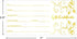 Fancy Land Blank Gift Certificates, 25pcs Gold Foil Cards with Envelopes for Business