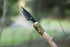 SE Outdoor Tanto Knife, KHK6320 with Firestarter