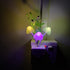 AUSAYE Sensor Led Night Light, Color Changing Plug-in LED Mushroom Light Dream Bed Lamp Cute NightLight Sweet Night