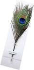 Peacock Feather Ballpoint Pens - Black Ink Natural Feather Quill Pen for Kids School Writing, Birthday Gift Pen
