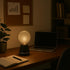 Festive Living 5" G125 Bulb 2700K 3 E26 IP54 Celeste Glow LED Glass Globe for Pendants and Patio Strings, Warm White