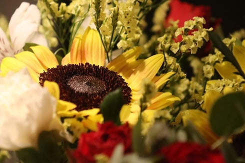 Lac et Soleil Flower Postcard Photo by MIRO Sunflowers and Flowers (Bouquets) Postcards 3 Postcards