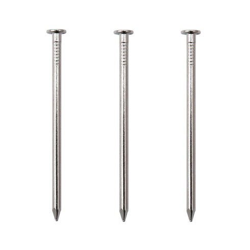 70pcs Hardware Nails, 2-1/2 Inches Nickel Plated Hanging Nails, Wall Nails for Hanging and Wood Projects