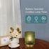 JHPGEOE Bulb, Battery Operated Lamp with Timer, Cordless Table Lamps for Room Decor,Small Table Lamp with LED Glass