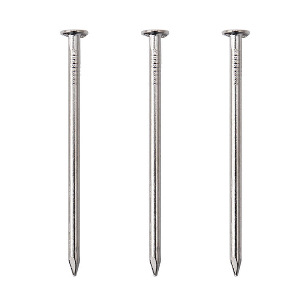 120pcs Hardware Nails, 2 Inches Nickel Plated Hanging Nails for Wood, Wall Hanging, Long Nails (2 in)