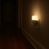 Rayverion 3000K Mini LED Night Light with Automatic Light Sensor, Soft Warm Glow, Low-Profile Plug-in Design