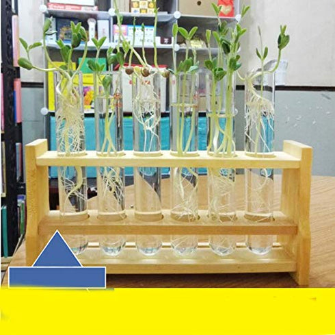 Chiloskit 21mm/0.81" Hole Wooden Test Tube Rack Holder for 25ml Test Tubes, 6 Slots, Lab Tube Racks