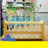 Chiloskit 21mm/0.81" Hole Wooden Test Tube Rack Holder for 25ml Test Tubes, 6 Slots, Lab Tube Racks