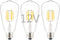 Low Voltage DC 12V/24V 6W LED Bulb, Edison Style ST21 Antique Shape, Warm White Light, 600LM, 3-Pack