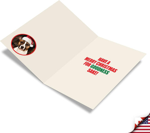 NobleWorks Pack of 12 Funny Christmas Greeting Cards with Envelopes, Humor Holiday Design