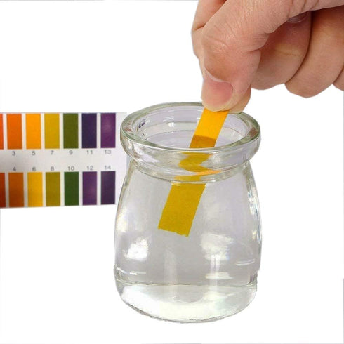 2 Pcs pH Test Strips, 1-14 Test Indicator, 160 Stripe Litmus Paper for Soil, Water, Saliva Testing