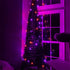 Purple and Orange Halloween Lights | 20FT 100 Count Incandescent Mini String Lights | Waterproof Decorations