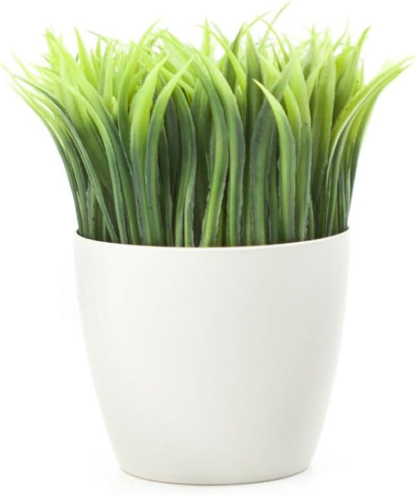 Kikkerland Potted Pen Stand, SC24