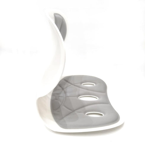 Ergonomic Back and Lumbar Support with Detachable Cover,for Good Posture Correction and Pain Relief,for Offices,Floor
