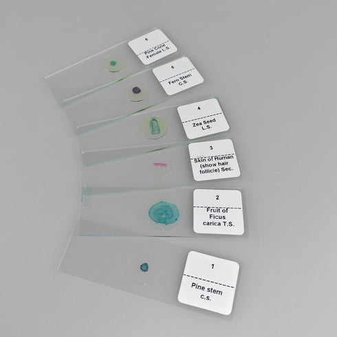 GEEFUNTECH 30 Pcs Microscope Slides Prepared Biology Specimen Lab Sample with Insects Plants Science Learning Home