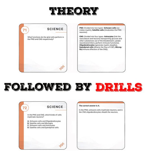 ATI TEAS 7 Flashcards - 2024-2025 Study Guide with Practice Test Questions