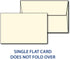 Heavyweight Blank Cream 5" X 7" Cards with Envelopes, 40 Cards & Envelopes Included