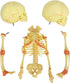 EVOTECH SCIENTIFIC Human Infant Skeleton Model, Twin-Skull, Human Fetus Skeleton W/Double-Skull Model for Medical Study