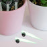 Haiyou 50pcs Floral Water Vials for Fresh Flowers Hydroponic Container Tubes for Easy Flower Arrangements Single Stem