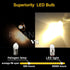 E5 Bulb 24V E5 E5.5 Bulb Lights(Pack 10) Ruiandsion LED Warm White Screw Base LED Upgrade for Modle Train