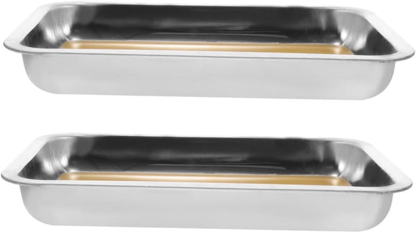 Stainless Steel Dissection Tray Set with Wax for Biology Lab Anatomy Study