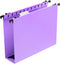 Extra Capacity Plastic Hanging File Folders, 12 Pack, Heavy Duty 2 Inch Expansion, Letter Size, Purple