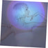 2pcs Background Ambient Light, Romantic Sunset Lamp, Rainbow Projection Lamp for Home Decor