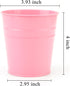 Pen Holder Cup For Desk Pencil Holder Metal Marker Pen Organizer Storage Small Tinplate Flower Pot Succulent Bucket Planters for Office Home - 2 Pack (Pink) by MATIMASU