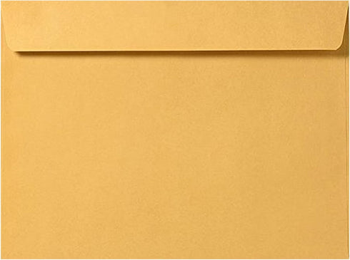 Brown Kraft Booklet Envelopes, Pack of 50 (6 x 9), 28lb
