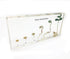 Bean Germination in Acrylic Block Lifecyle of Bean Biology Science Classroom Specimens (Bean Germination)