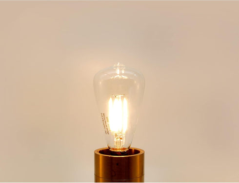 Dream Lighting LED Edison Bulb, 3W, Warm White 3000K, 150 Lumens, Pack of 2