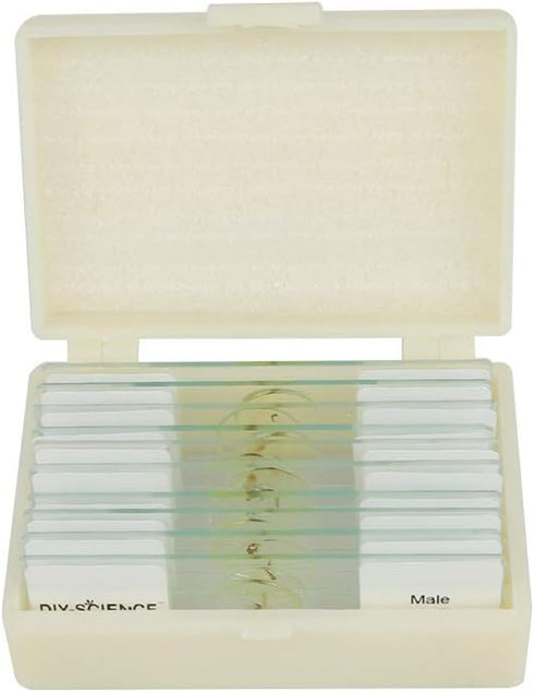Prepared Whole Insects Microscope Slides Set, 10pcs Specimens for Kids Students Biology Class, Educational Gift