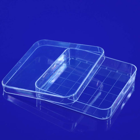 Scicalife 10 Sets Square Petri Dish with Lids, Plastic Material Container for School Lab Science Experiment