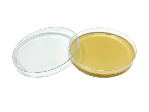 Malt Yeast Extract Agar Plates (MYA) - 10 Sterile Prepoured Petri Dishes for Mushroom Cultivation & Science Projects - Now with Improved Packaging