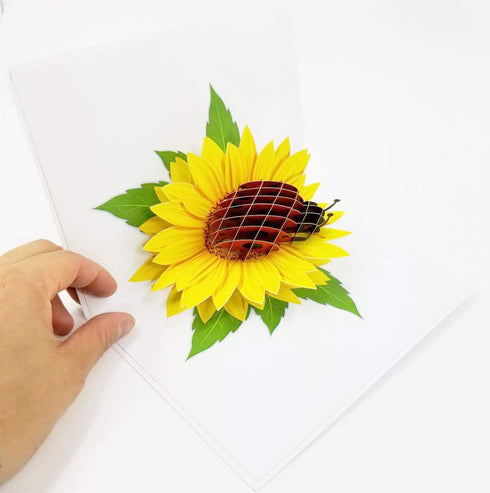 Ladybug 3D Pop Up Greeting Card - Happy Birthday, Mother's Day, Just Because for Kids (Ladybug Pop Up Card)
