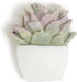 U Brands Succulent Push Pins Set, Office Supplies with Three Assorted Styles, 9 Count