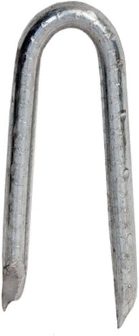 HILLMAN FASTENERS LB 1.25" HG Fence Staple (461297)
