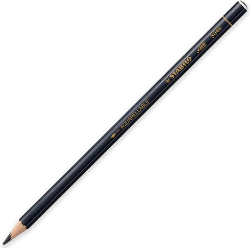 STABILO Coloured Pencil for Almost All Surfaces All - Pack of 2 - Black & White + Legacy Eraser by STABILO