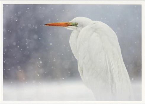Palm Press Stationary Great Egret in Falling Snowflakes Wildlife Christmas Card