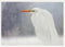 Palm Press Stationary Great Egret in Falling Snowflakes Wildlife Christmas Card