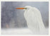 Palm Press Stationary Great Egret in Falling Snowflakes Wildlife Christmas Card
