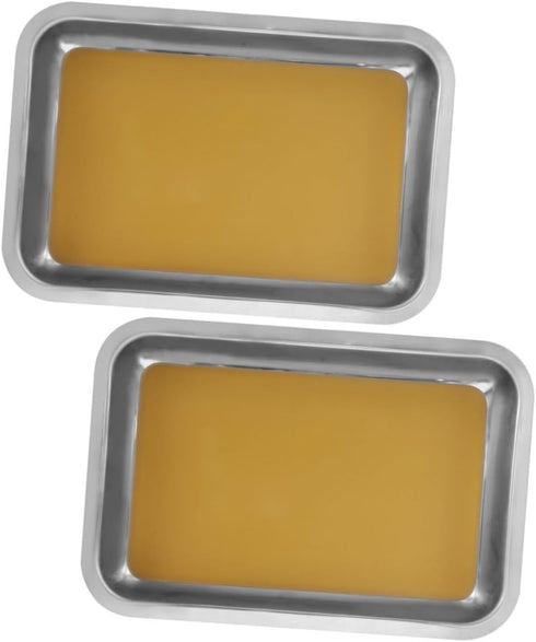 HANABASS 2pcs Stainless Steel Dissection Kit Wax-Lined Tray Anatomical Specimen Tray for