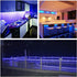 9.8ft 90 Dimmable, LED Strip Lights Battery Operated, LED Strip Lights with Remote Controller Timer Waterproof Flexible